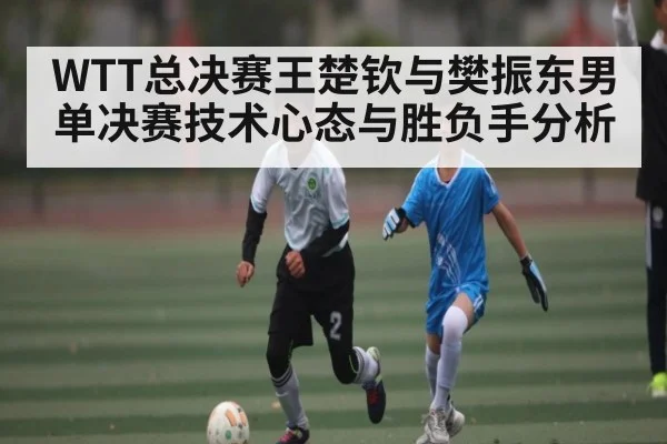 WTT总决赛王楚钦与樊振东男单决赛技术心态与胜负手分析
